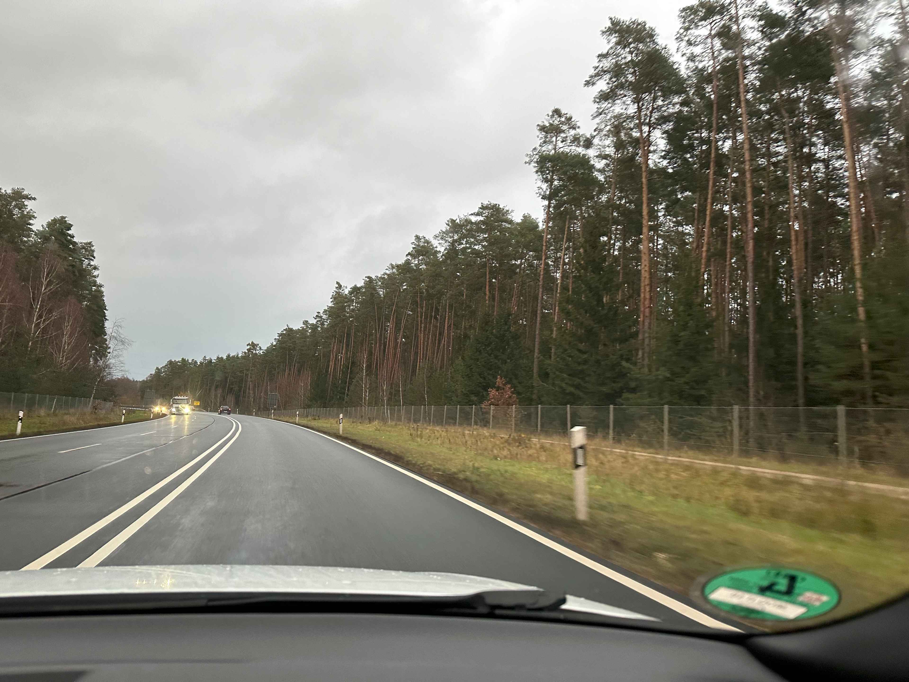 Blick aus einem Auto auf eine Landstraße, die durch einen Wald führt, mit kahlen Bäumen und bewölktem Himmel.