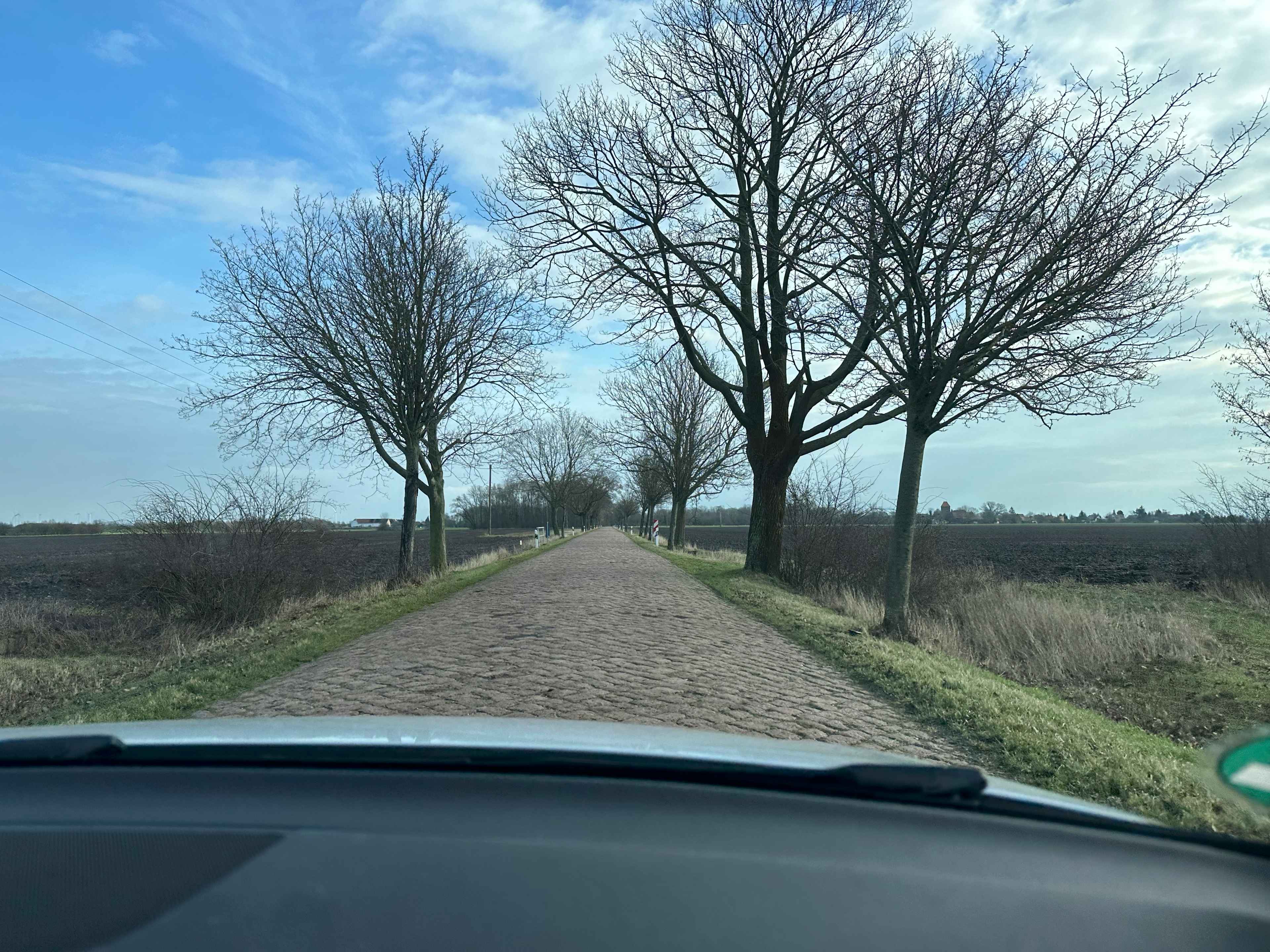 Blick aus einem Auto auf eine ländliche, von Bäumen gesäumte Kopfsteinpflasterstraße, umgeben von Felder.