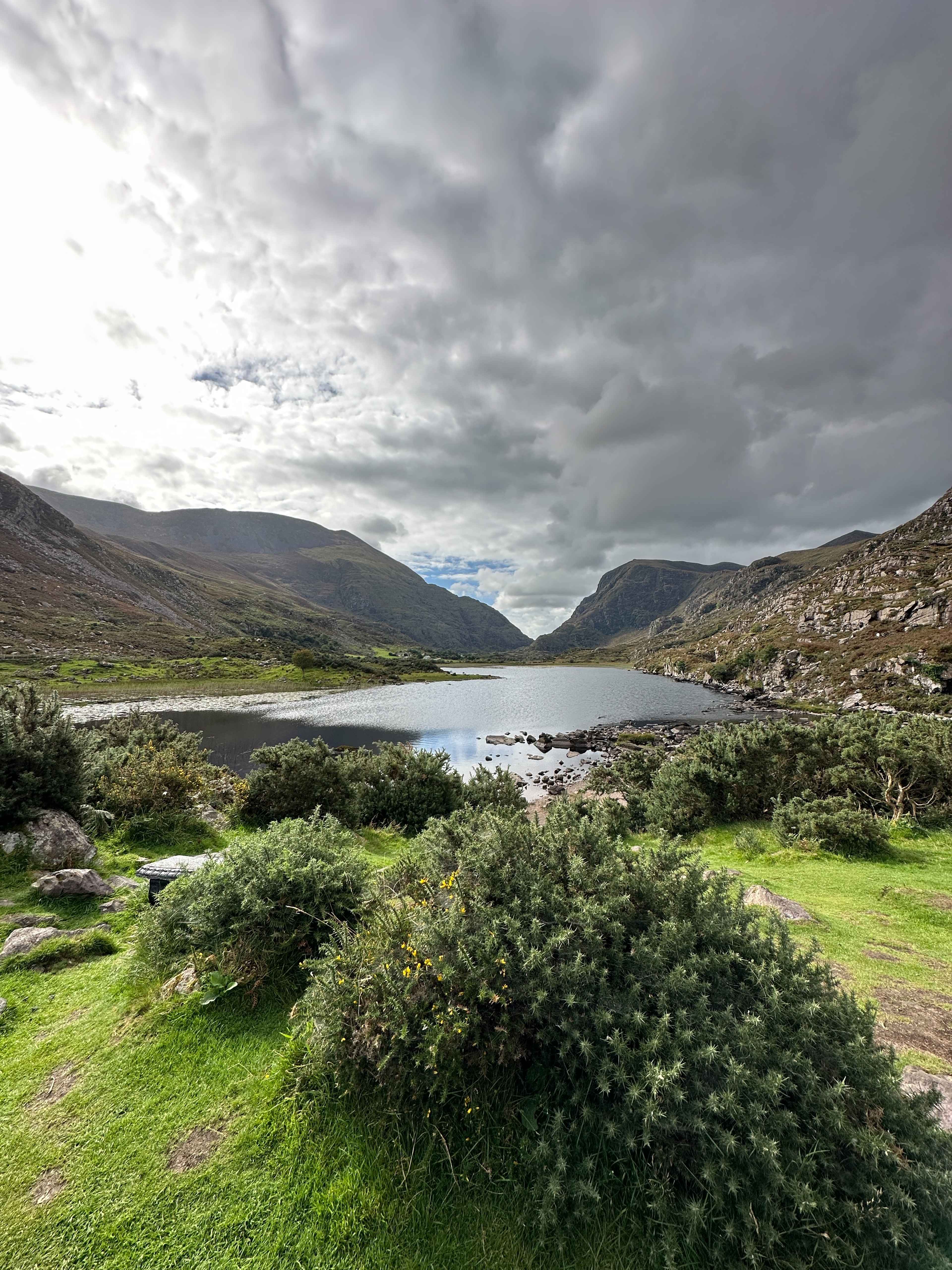 Weite Aufnahme der Gap of Dunloe mit Büschen im Vordergrund, dahinter ein See und Berglandschaft unter wolkigem Himmel.