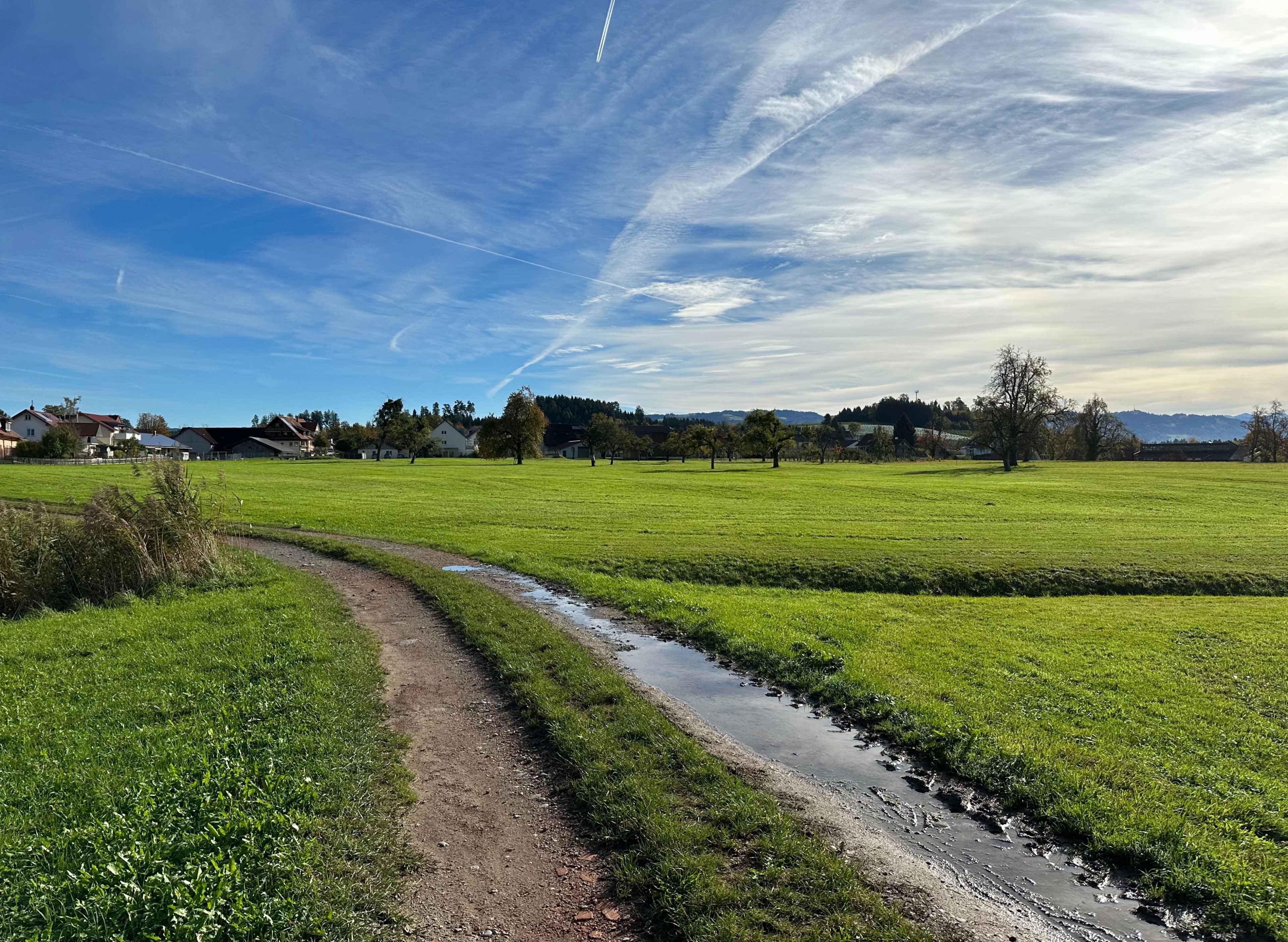 Ein Feldweg mit Pfützen schlängelt sich durch eine grüne Wiese. Im Hintergrund Häuser, Bäume und blauer Himmel.