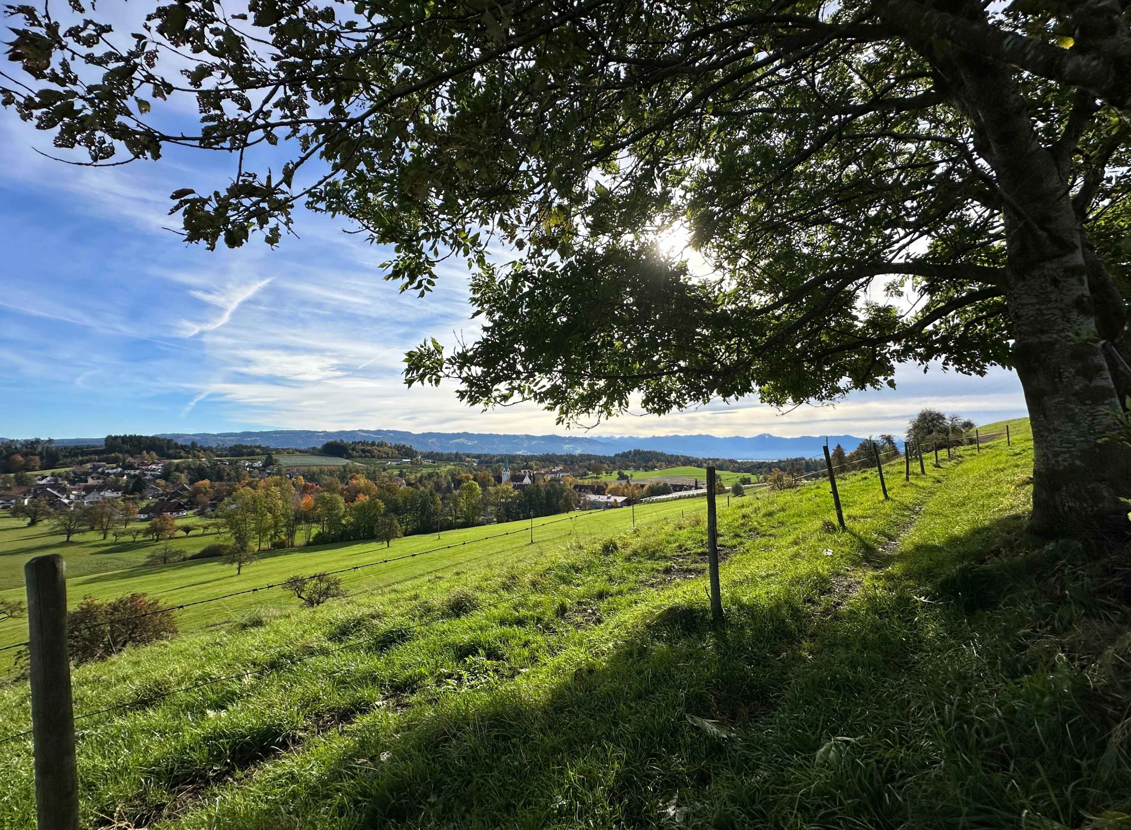 Sicht vom Hügel. Ein Baum wirft Schatten auf eine grüne Wiese mit Zaun. Im Hintergrund Dörfer, Hügel und Berge.
