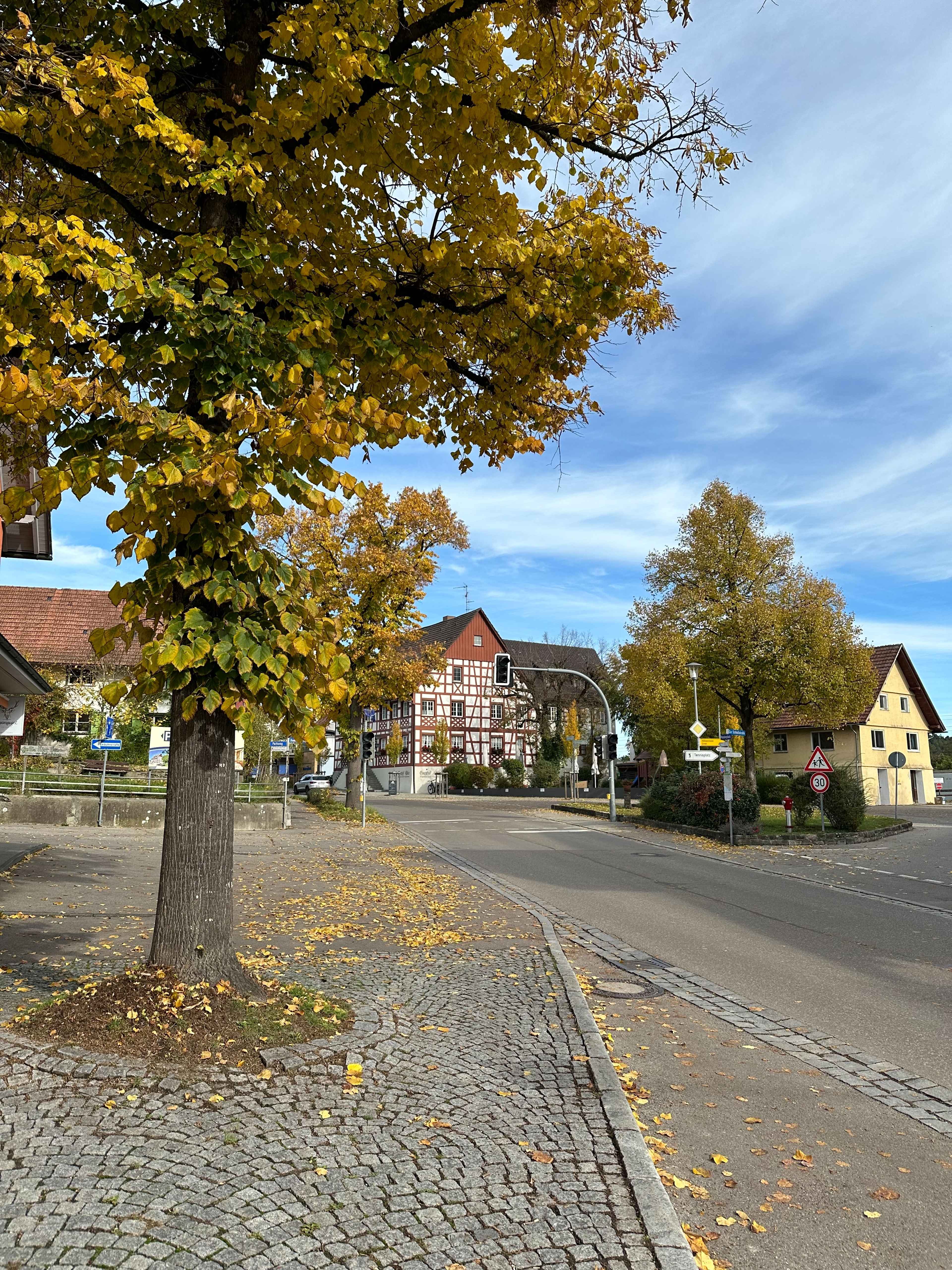 Ein Baum mit gelben Blättern steht an einer gepflasterten Straße. Im Hintergrund Fachwerkhäuser und eine Kreuzung.
