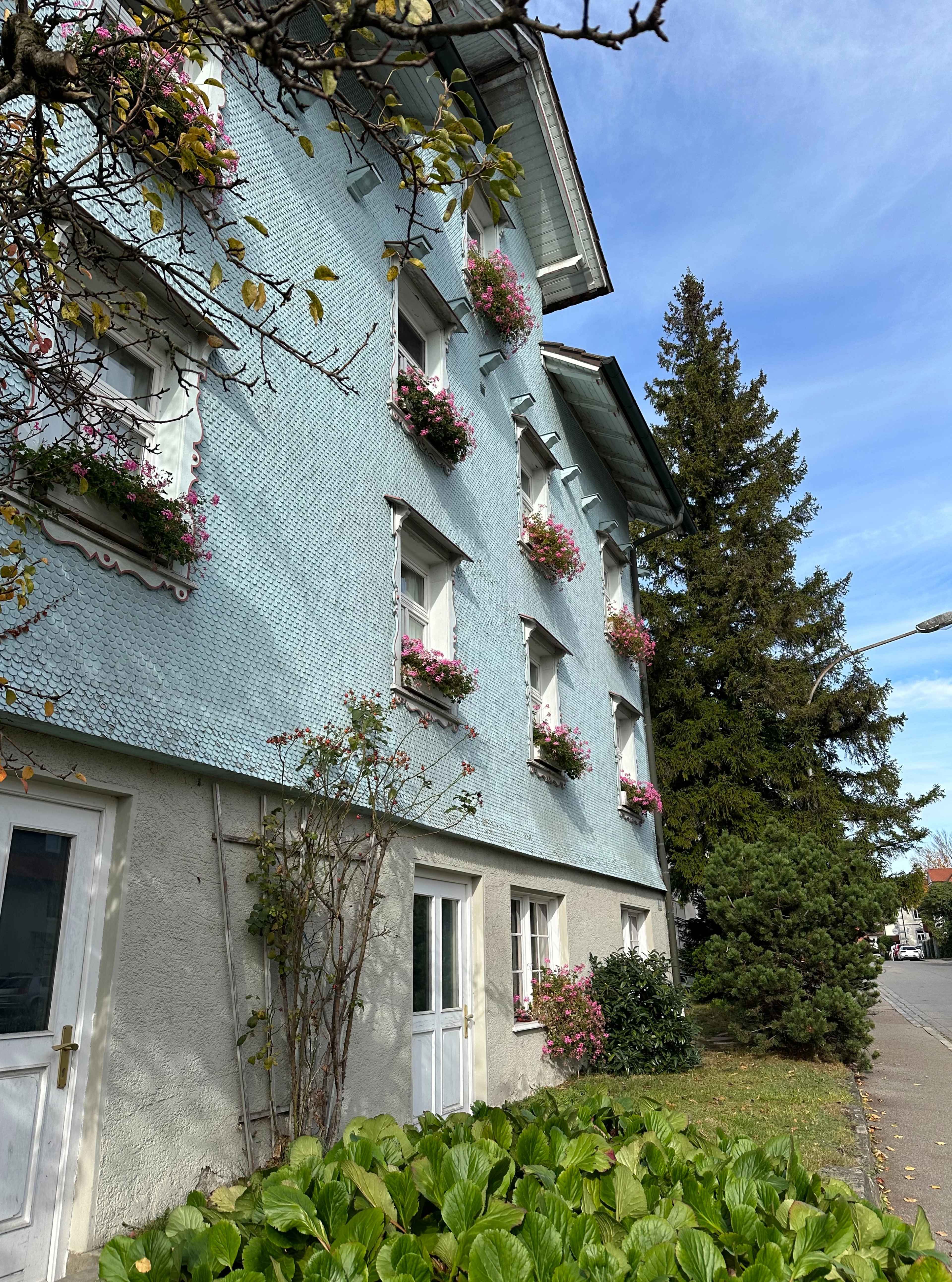 Eine Hausfassade gedeckt mit kleinen hellblauen Schindeln und blumengeschmückten Fensterkästen.