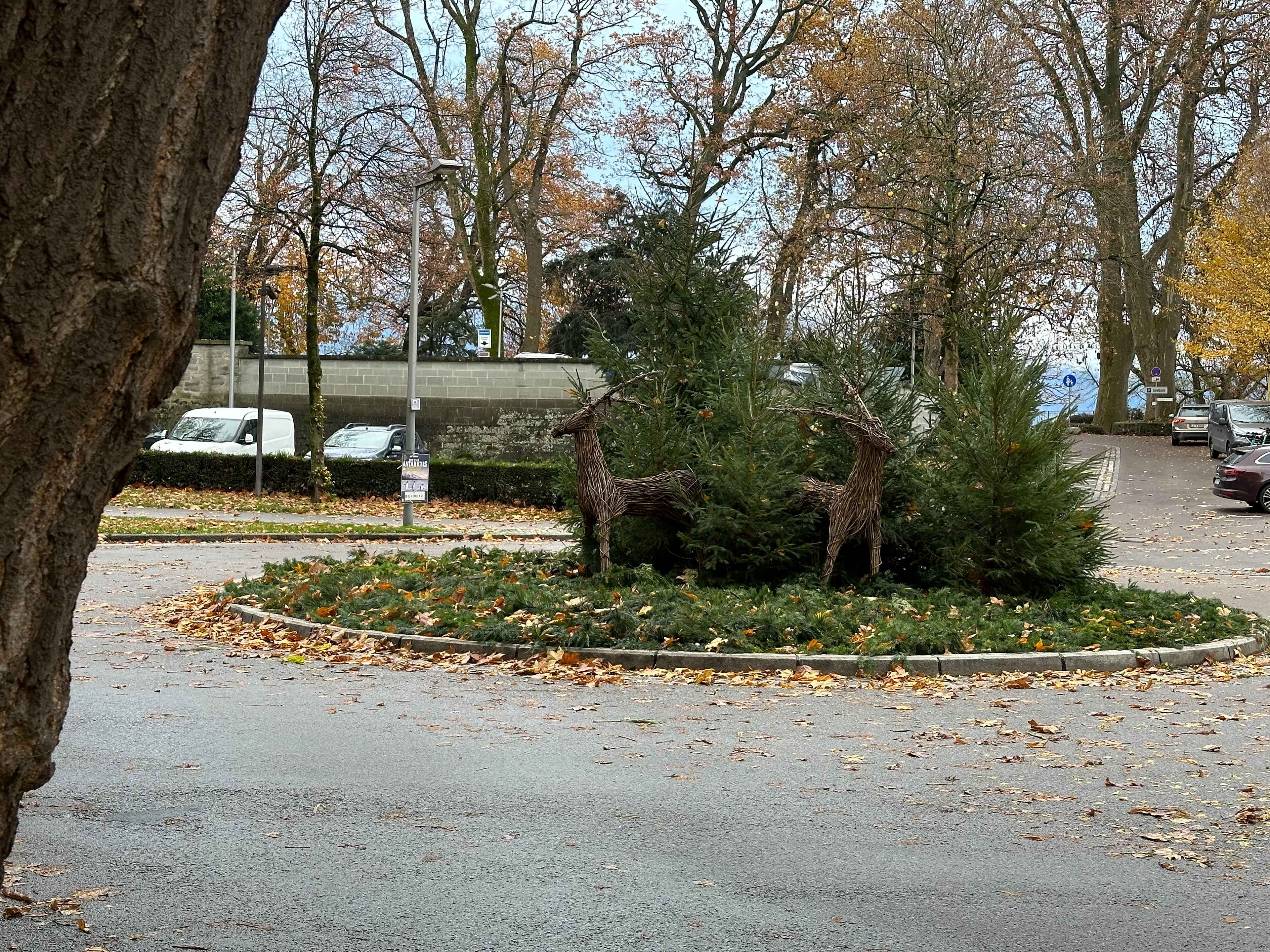 Ein kleiner Kreisverkehr mit Tannenbäumen und Holzfiguren von Hirschen, umgeben von herbstlichem Laub und geparkten Autos.