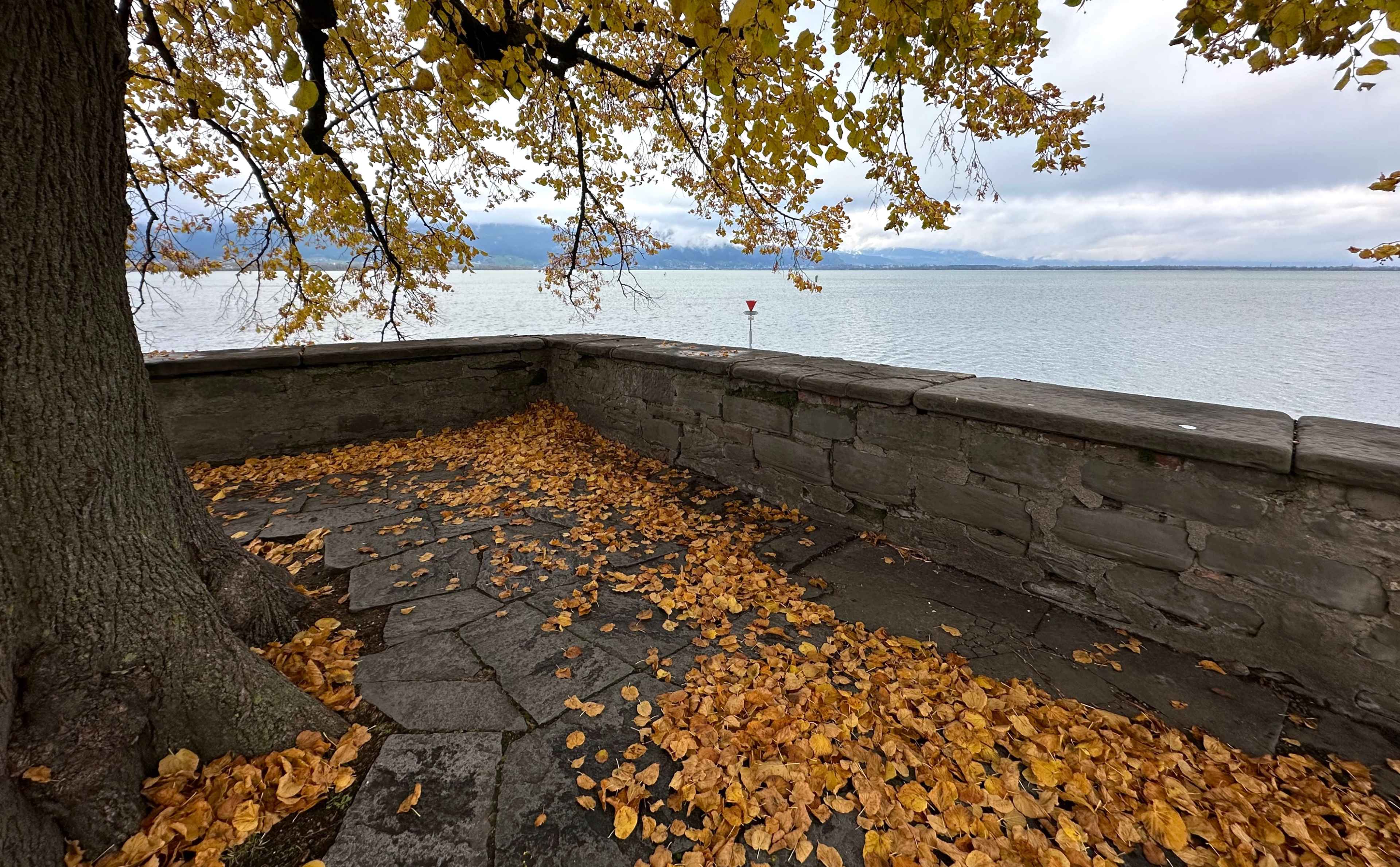 Ein gepflasterter Platz mit einer Steinmauer am See. Herbstblätter bedecken den Boden, darüber Äste mit gelbem Laub.