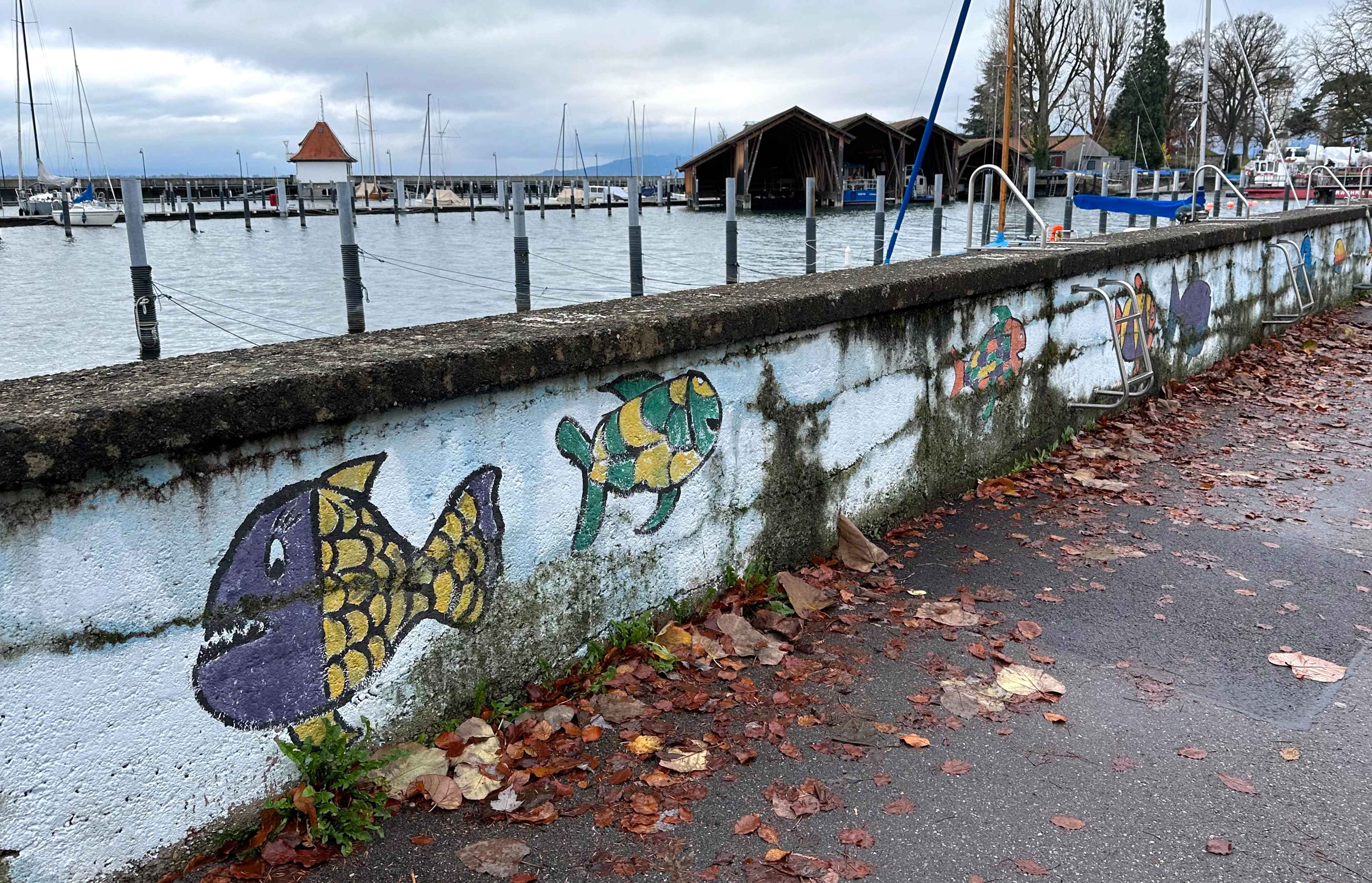 Ein Hafen mit Booten, davor eine bemalte Steinmauer mit bunten Fischen und herbstlichem Laub auf dem Weg.
