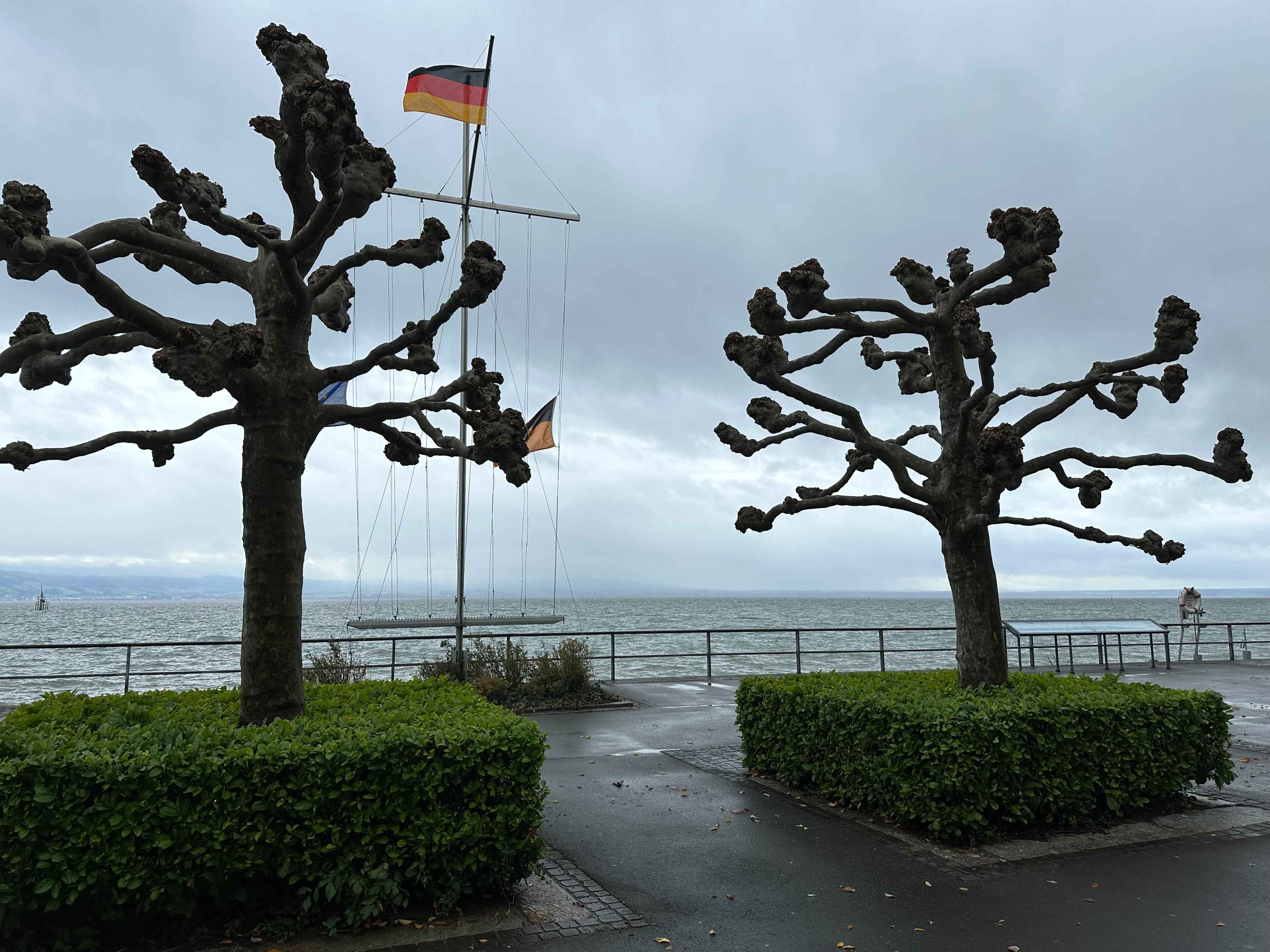 Zwei geschnittene Bäume mit kahlen Ästen und einer deutschen Flagge am Mast im Hintergrund, nahe einer Uferpromenade
