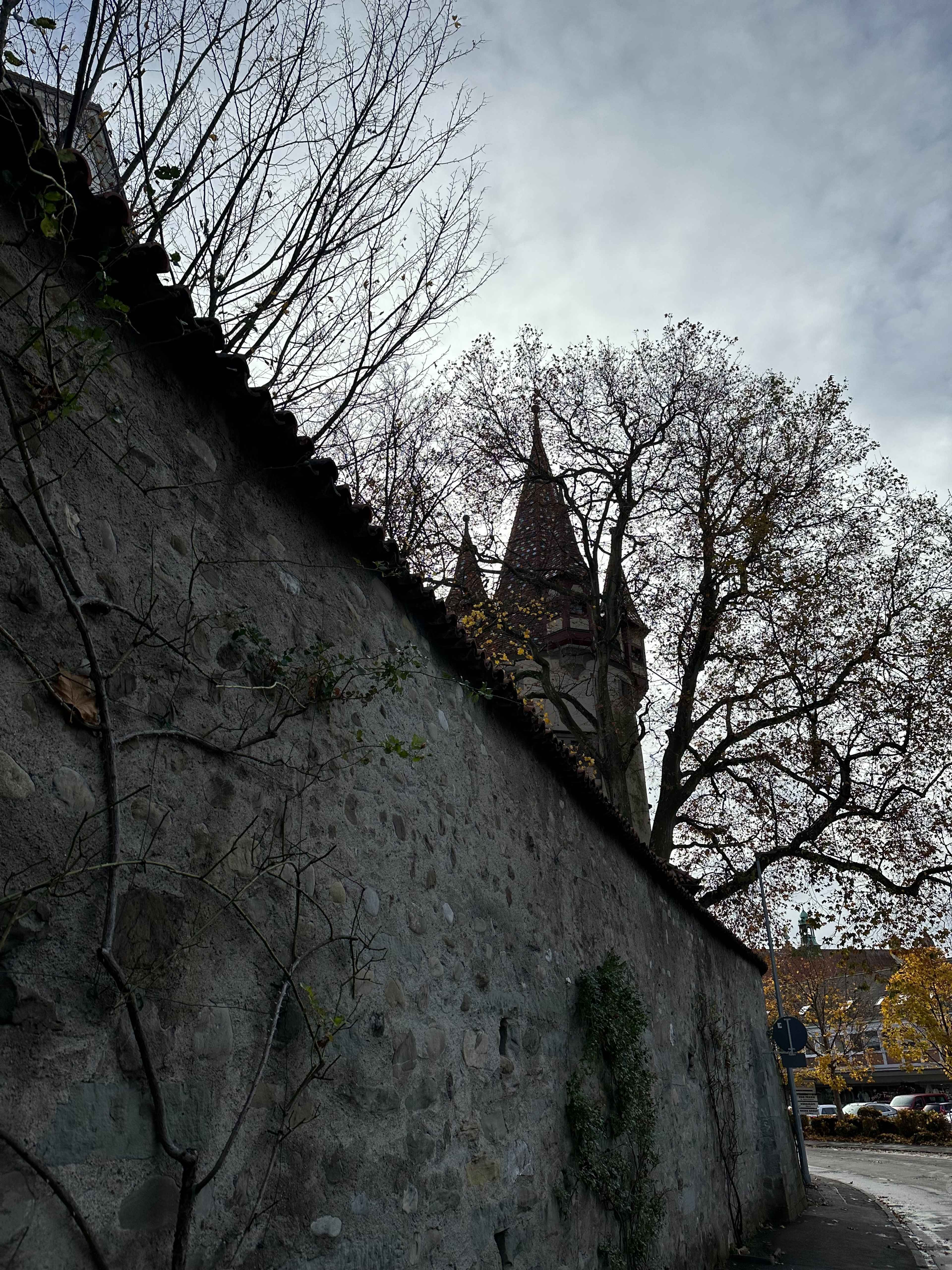 Eine hohe Steinmauer mit kletternden Pflanzen. Dahinter ragen die Türme eines alten Gebäudes, umgeben von kahlen Bäumen.