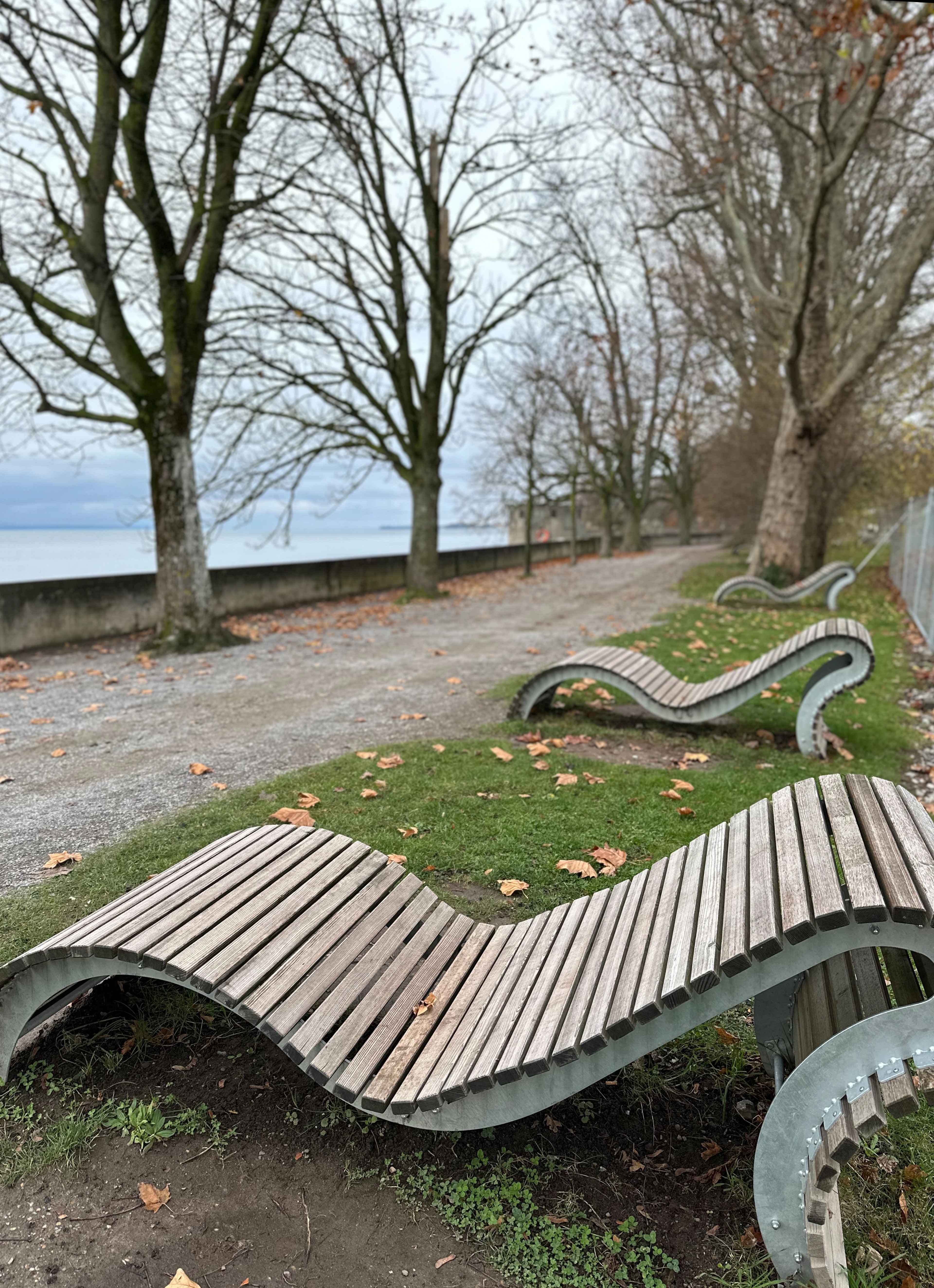 Geschwungene Holzbänke auf einer Wiese entlang eines Baumpfads an der Uferpromenade. Blätter liegen auf dem Boden.