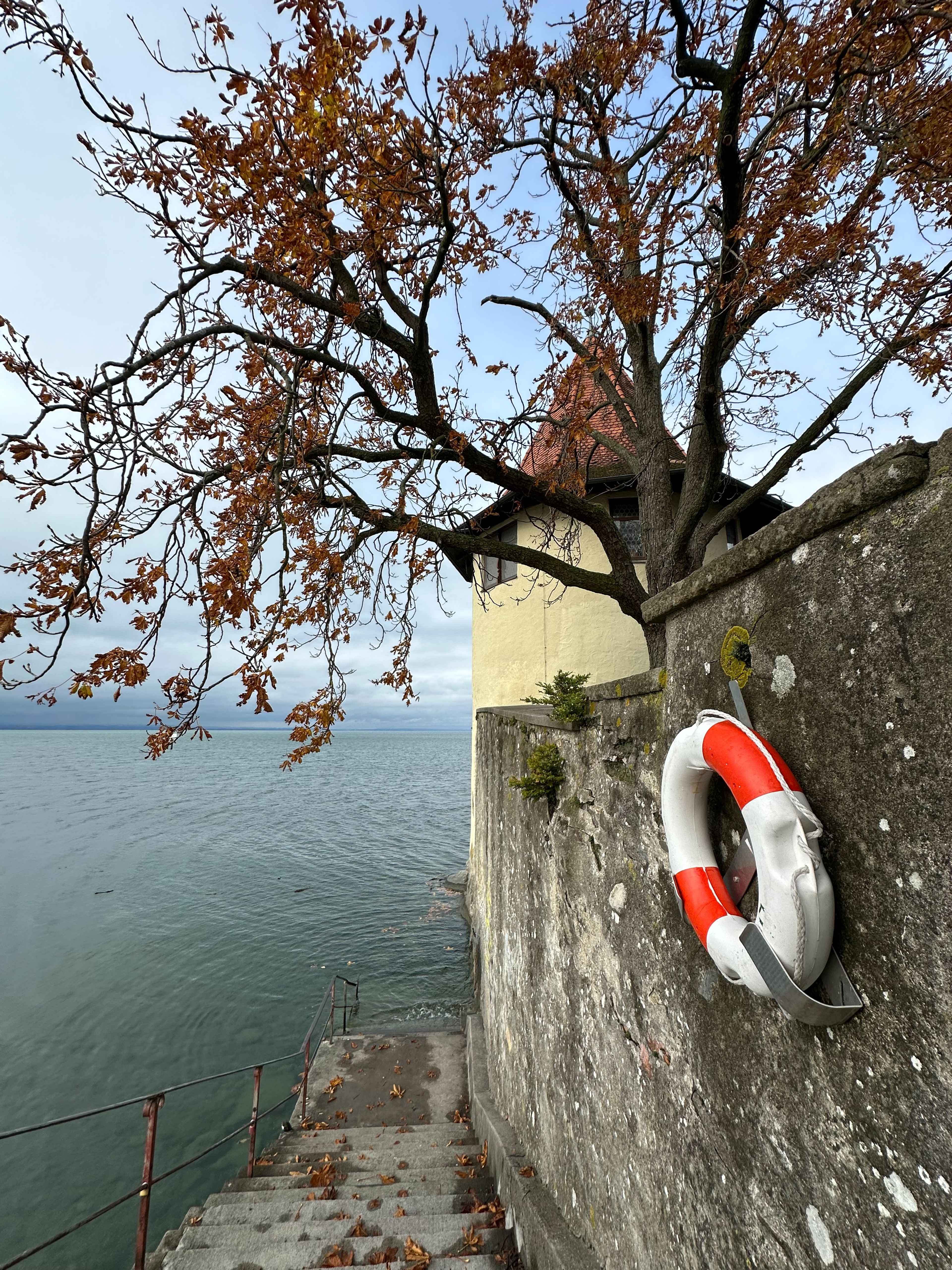Eine Steintreppe führt ins Wasser. Ein Baum mit wenigen Blättern ragt über eine Mauer mit einem Rettungsring.