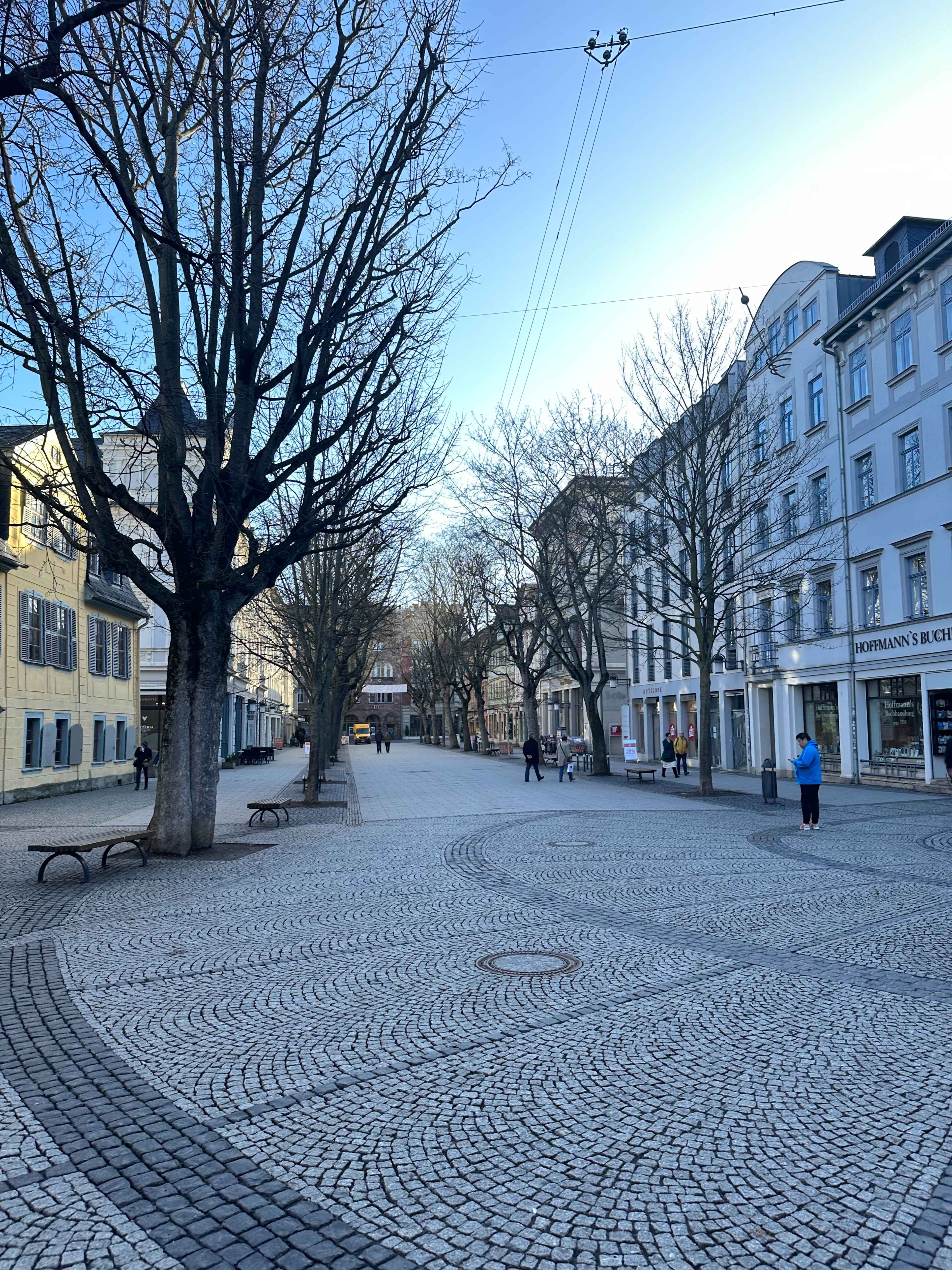 Brezel Bild