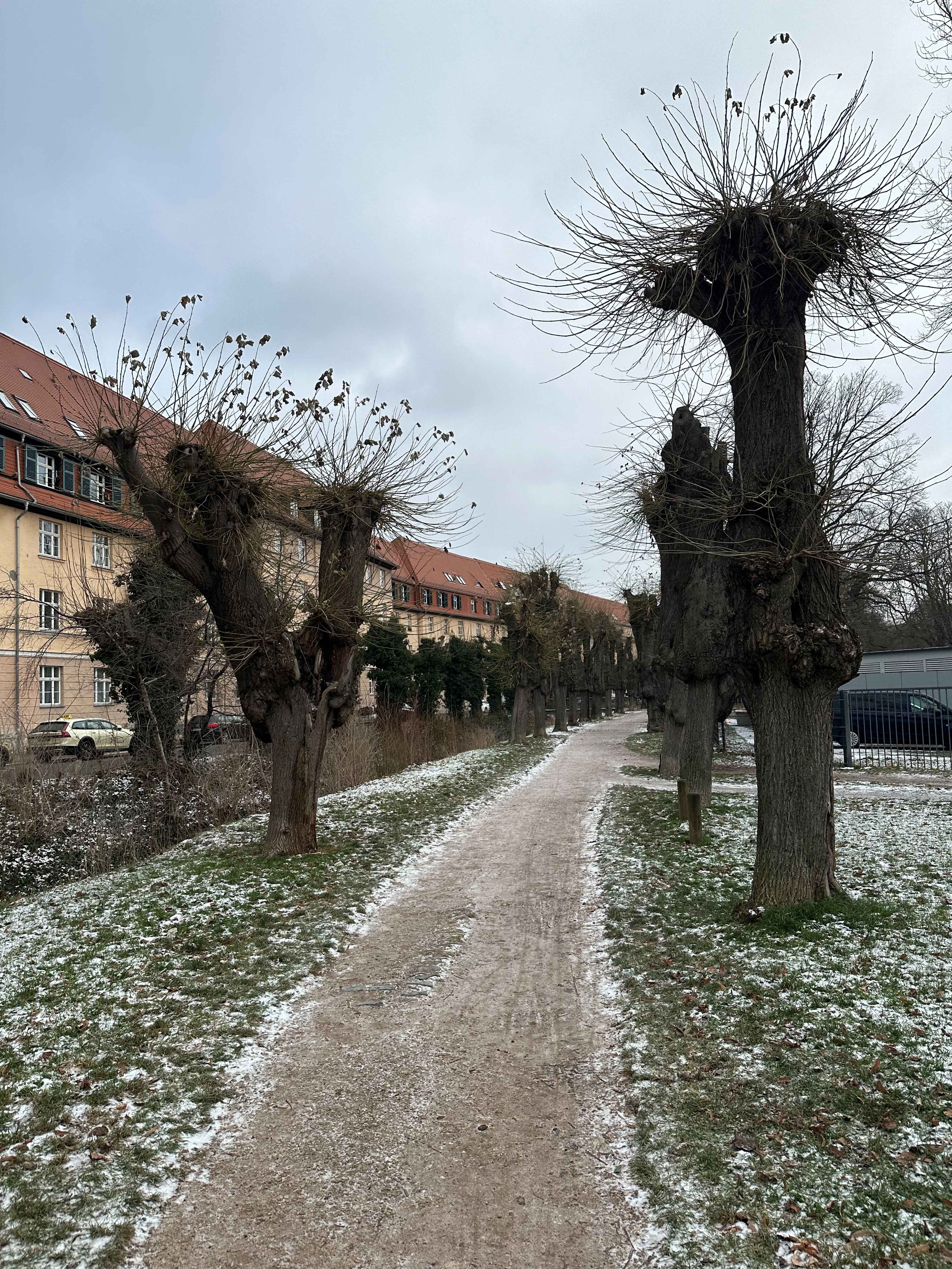 Brezel Bild