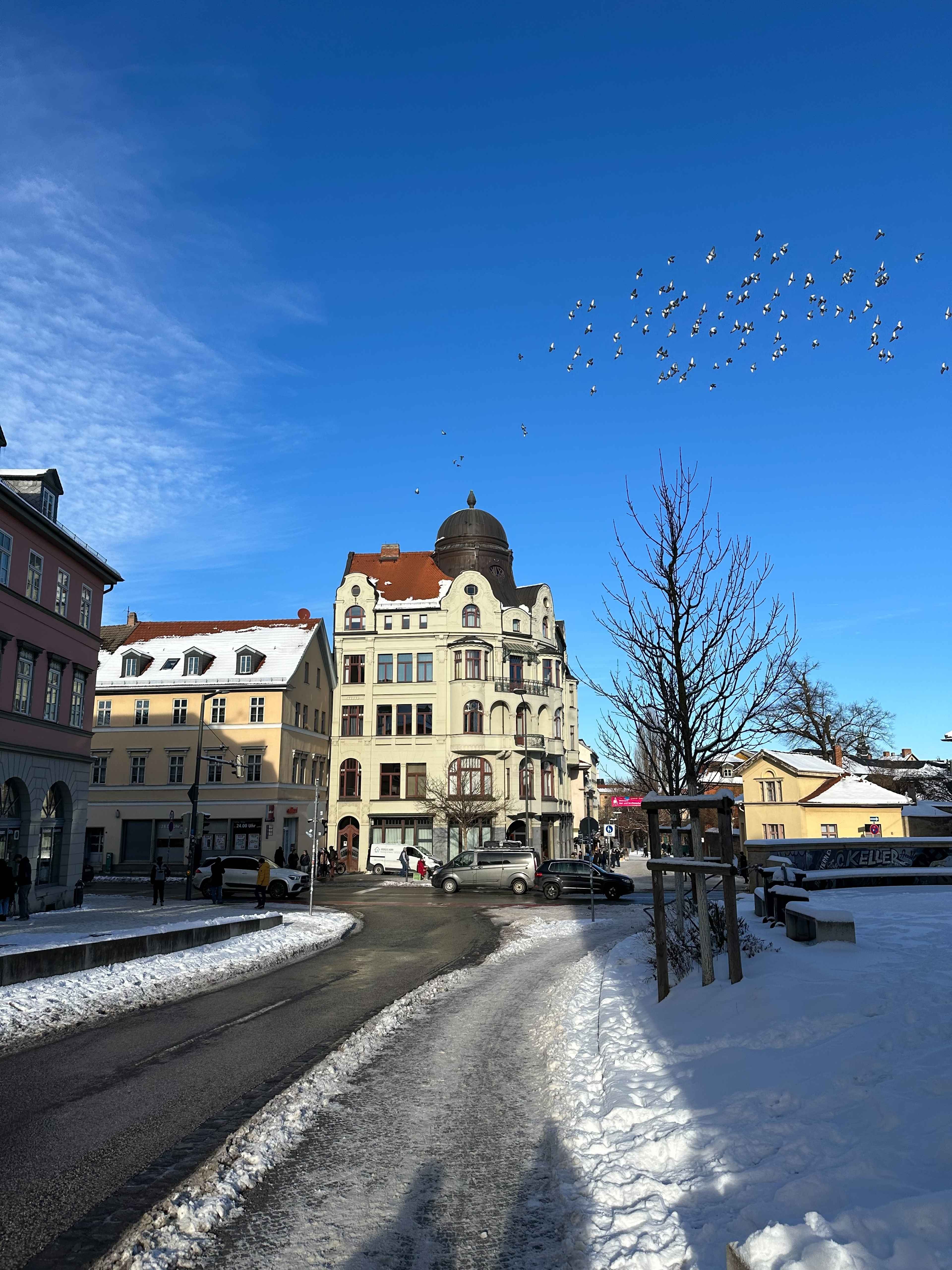 Brezel Bild