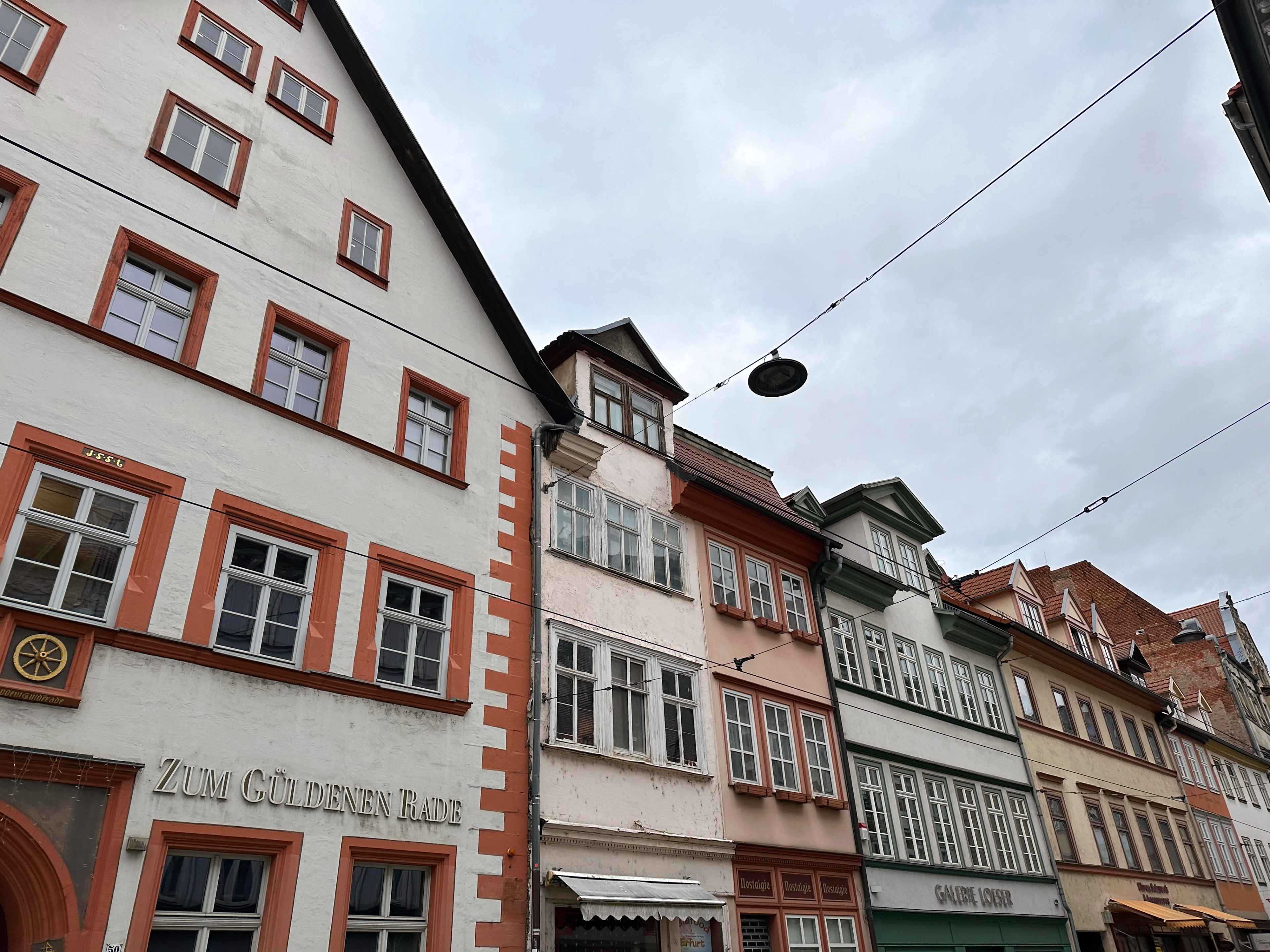 Brezel Bild