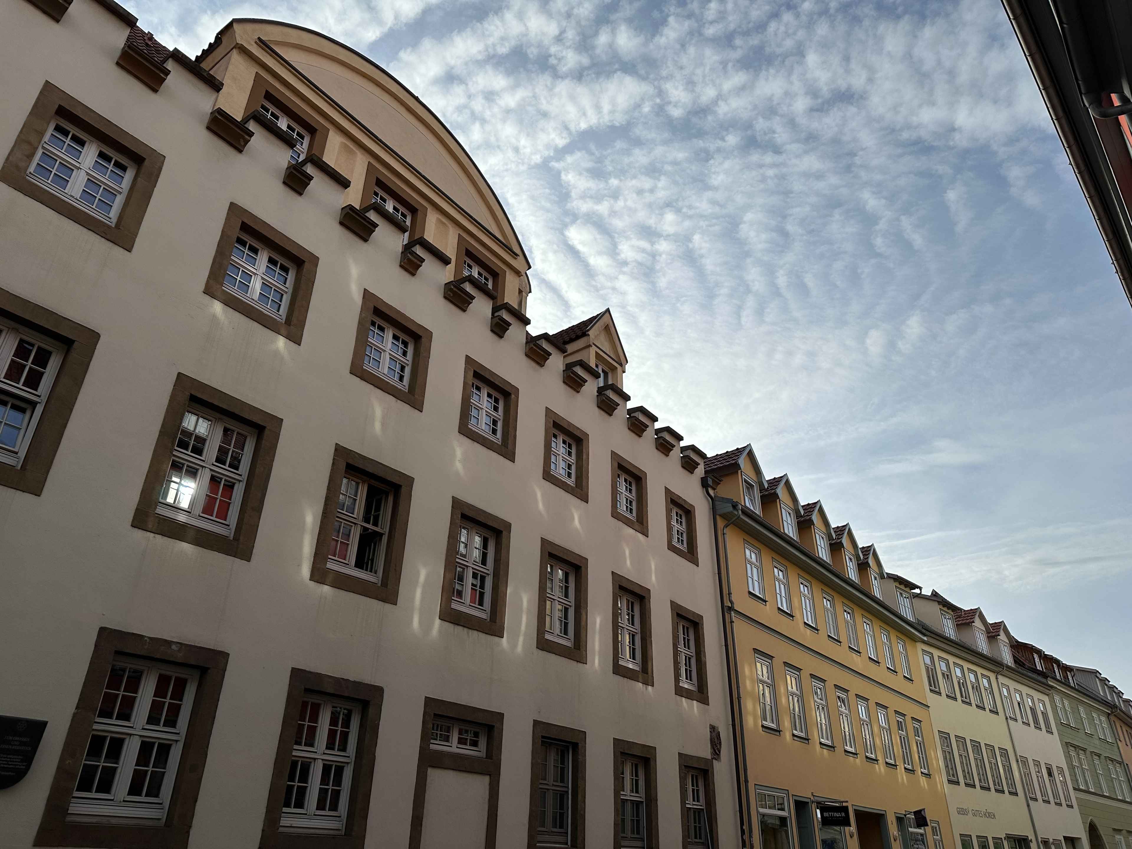 Brezel Bild