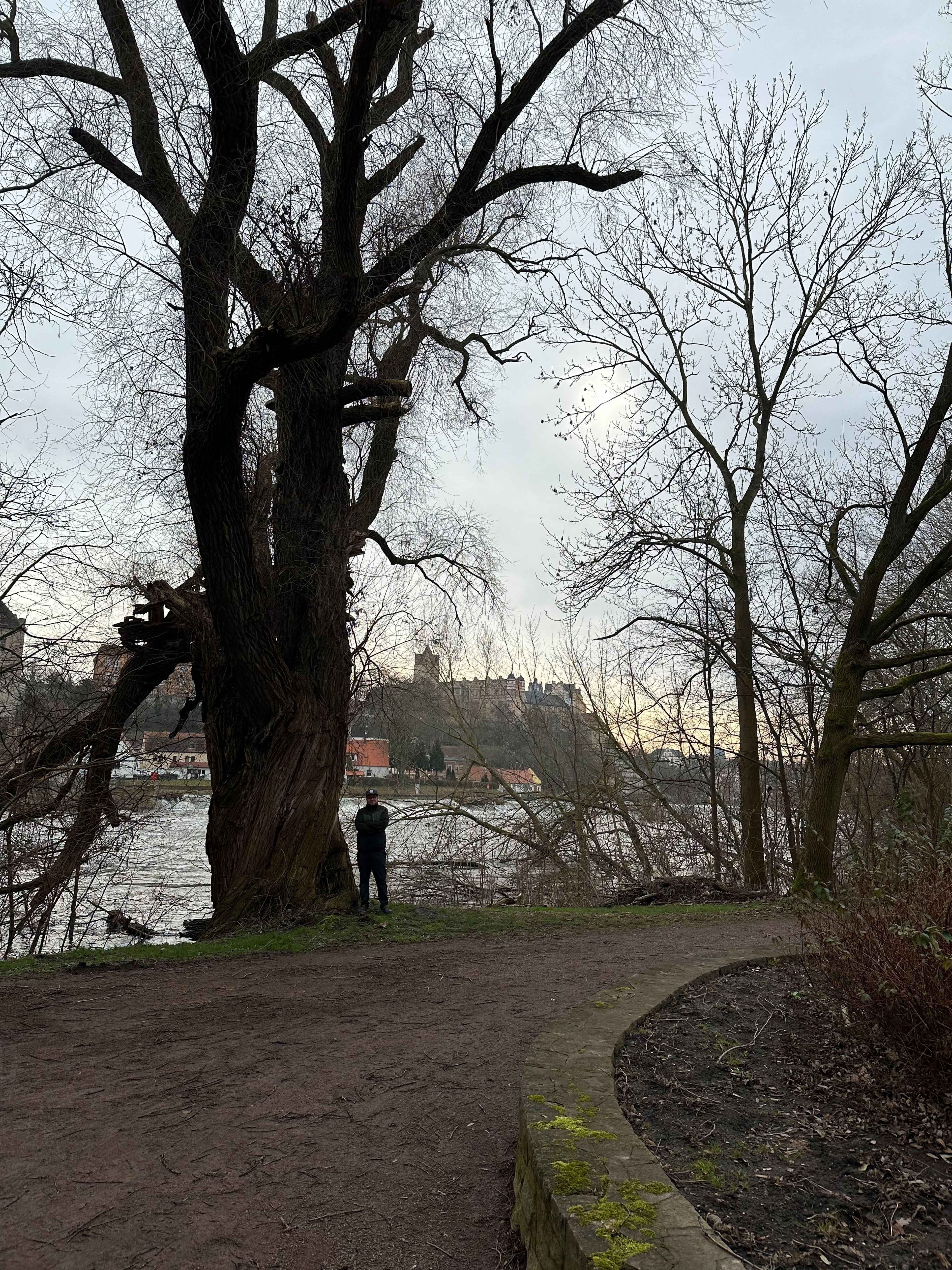 Brezel Bild