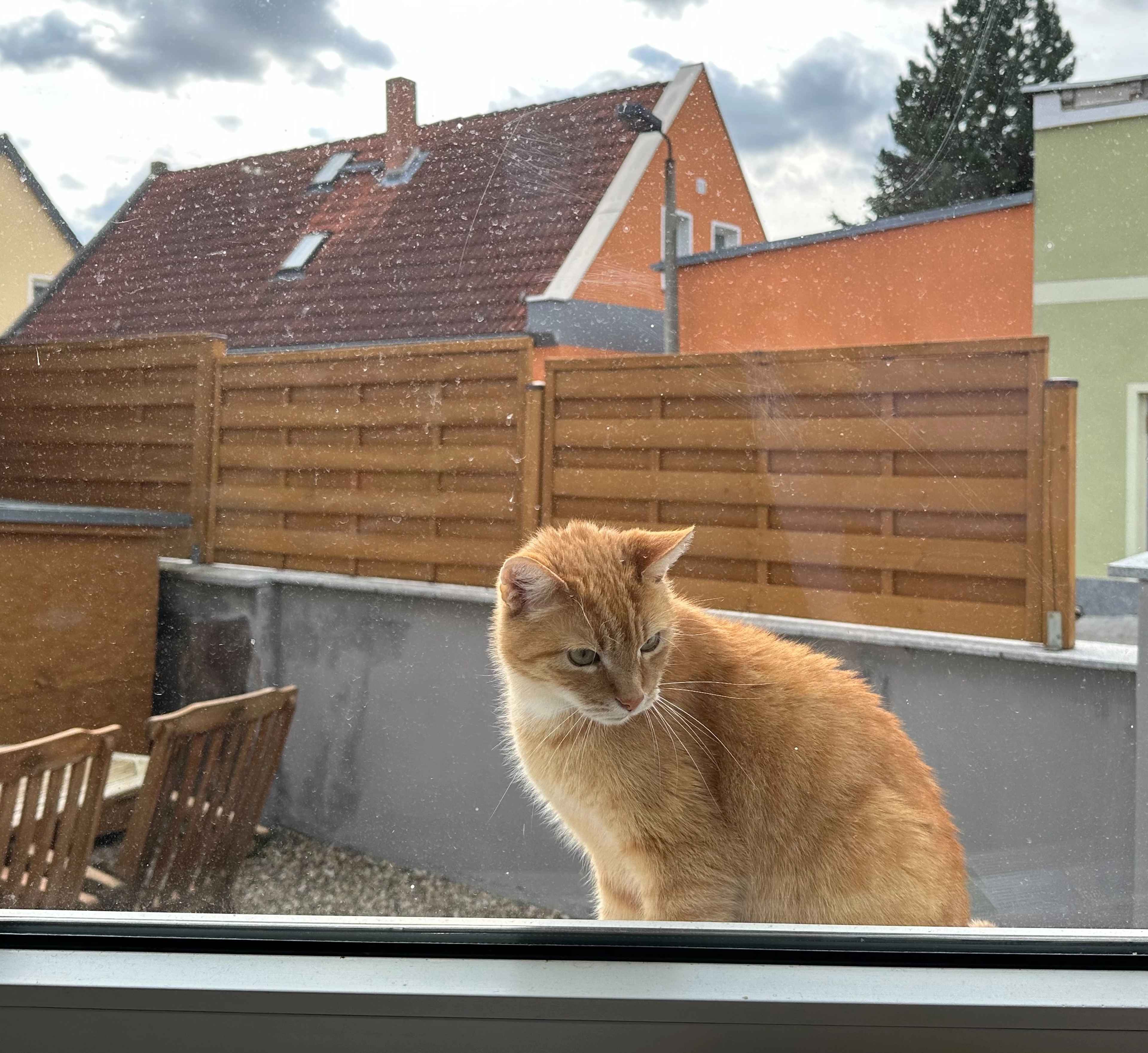 Brezel Bild