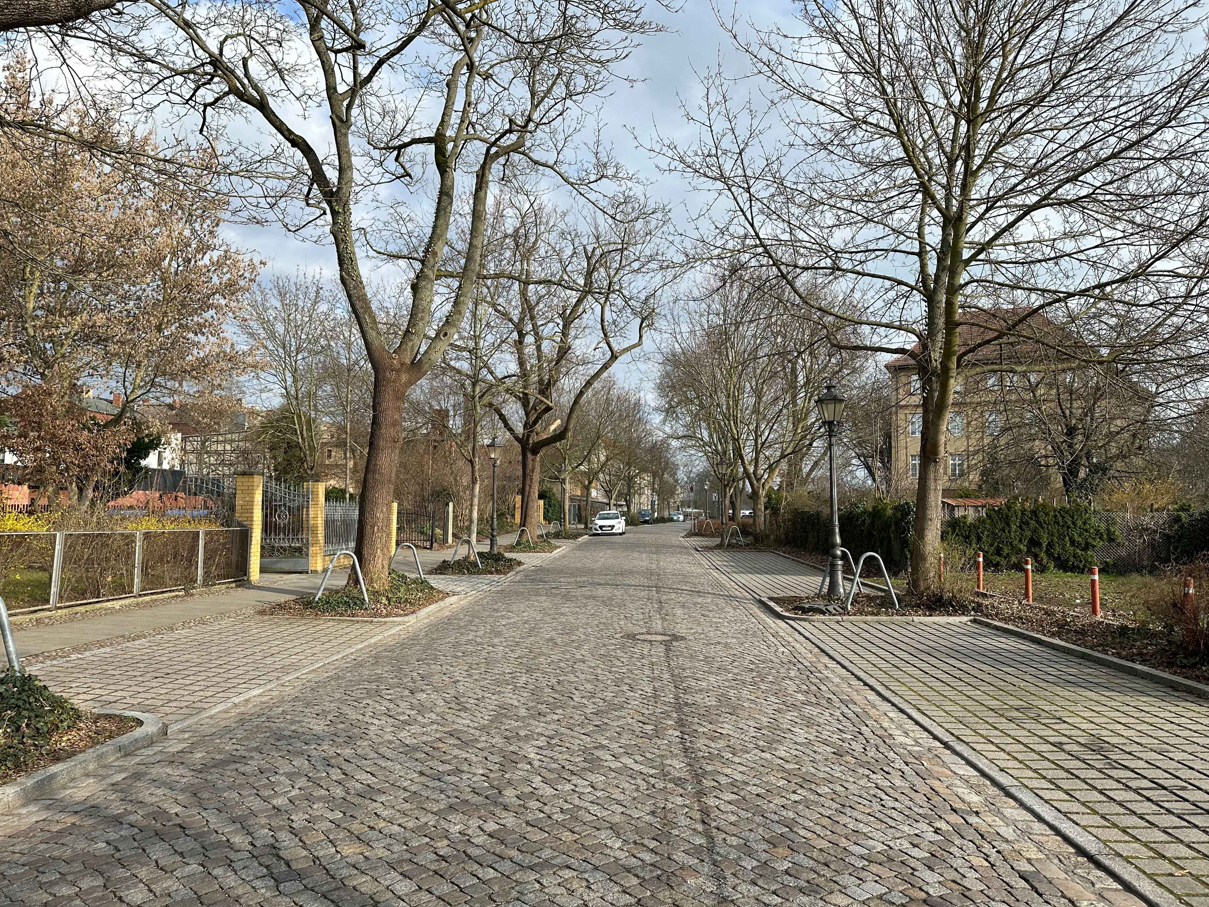 Brezel Bild