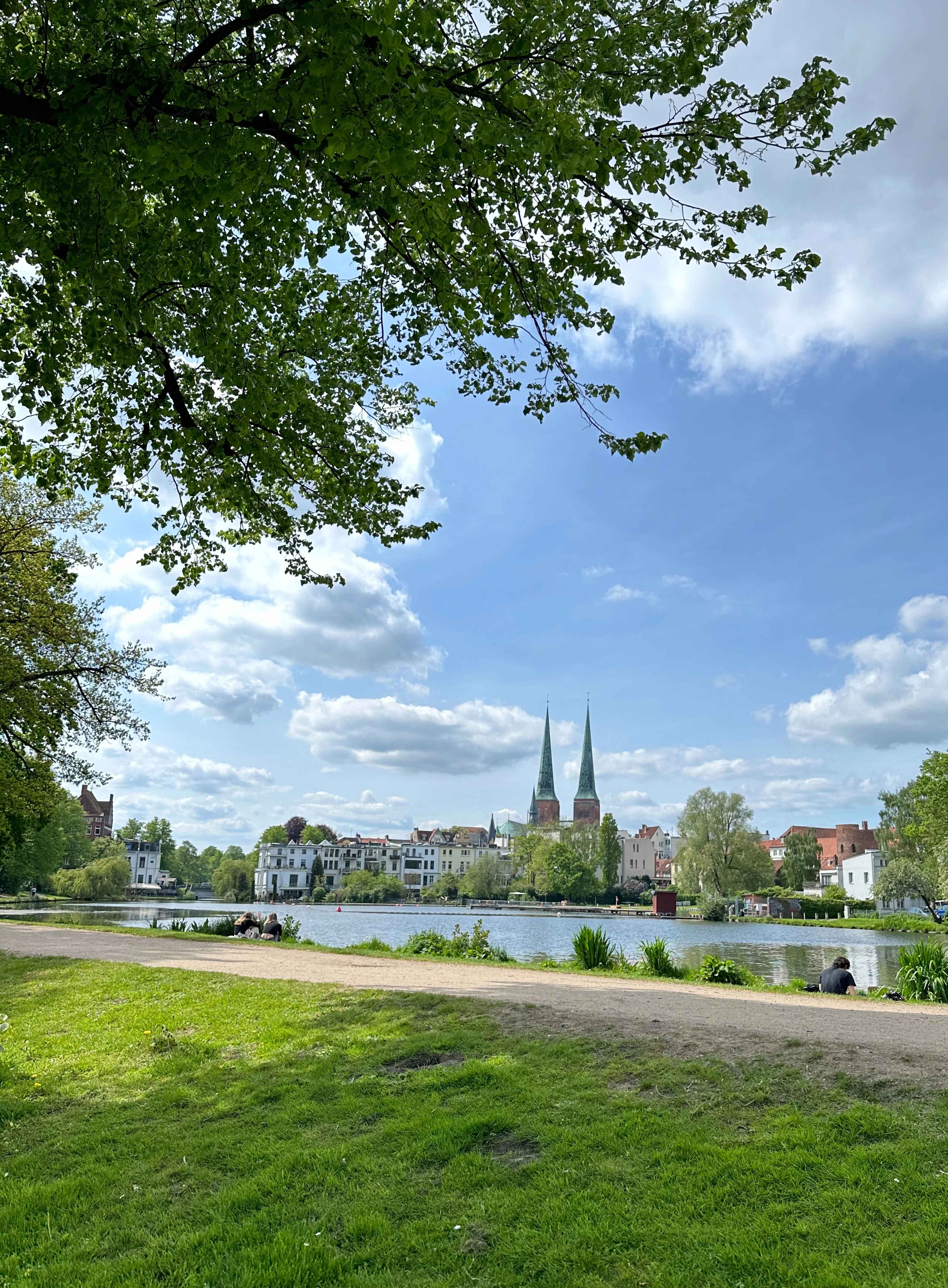 Brezel Bild