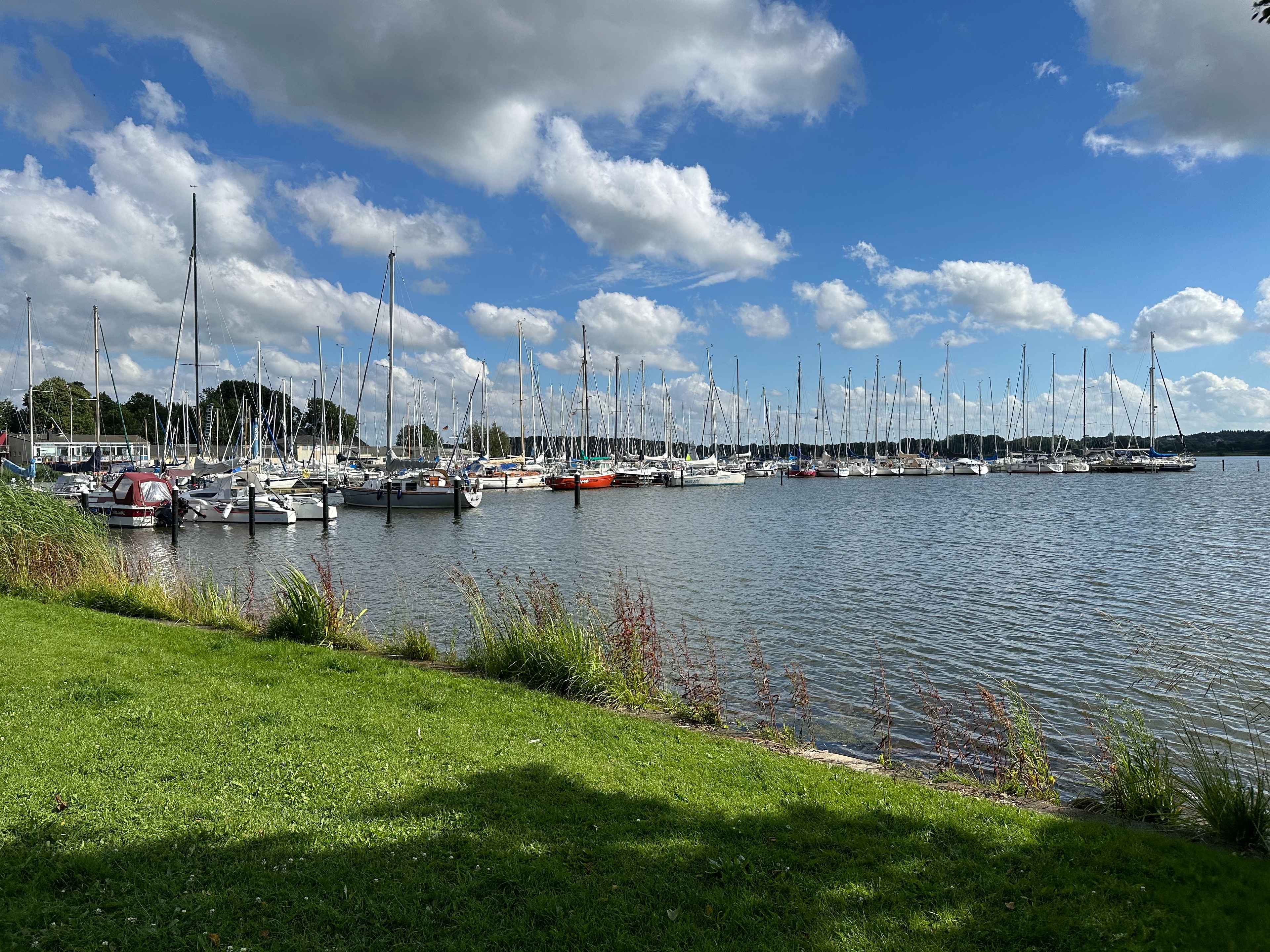 Schlamassel in Schleswig: Turmleben mit kleinen Tücken