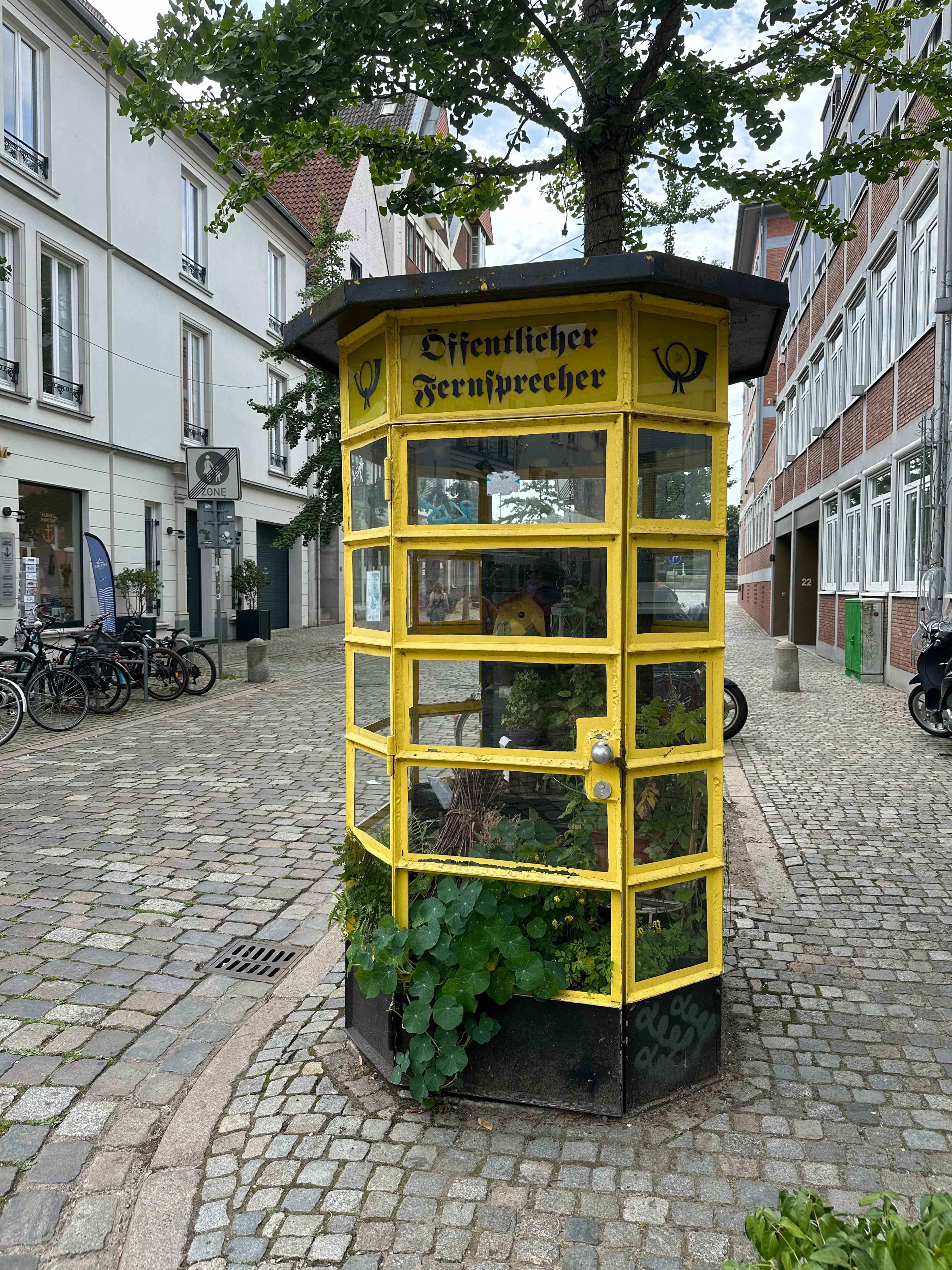 Brezel Bild