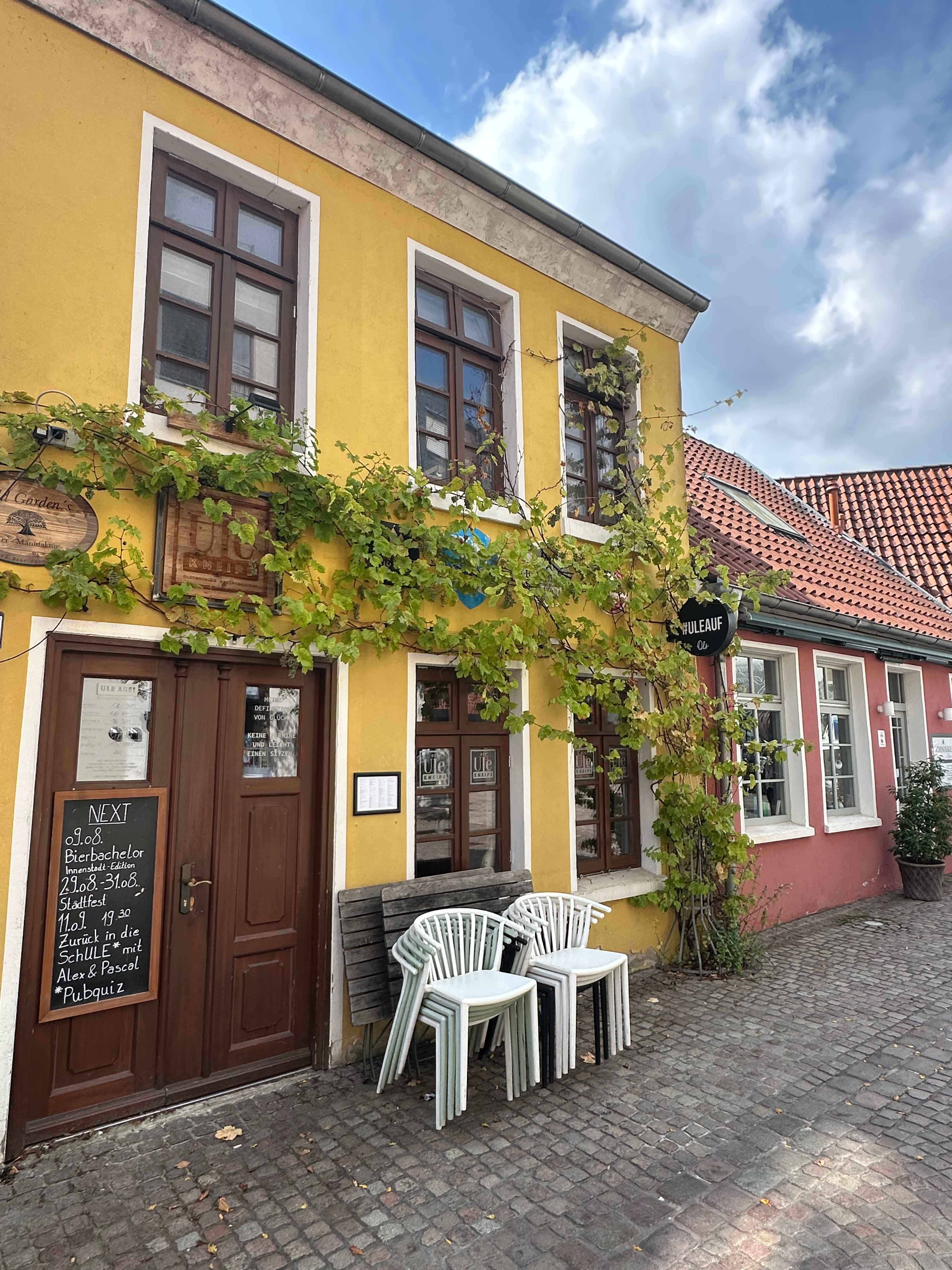 Brezel Bild