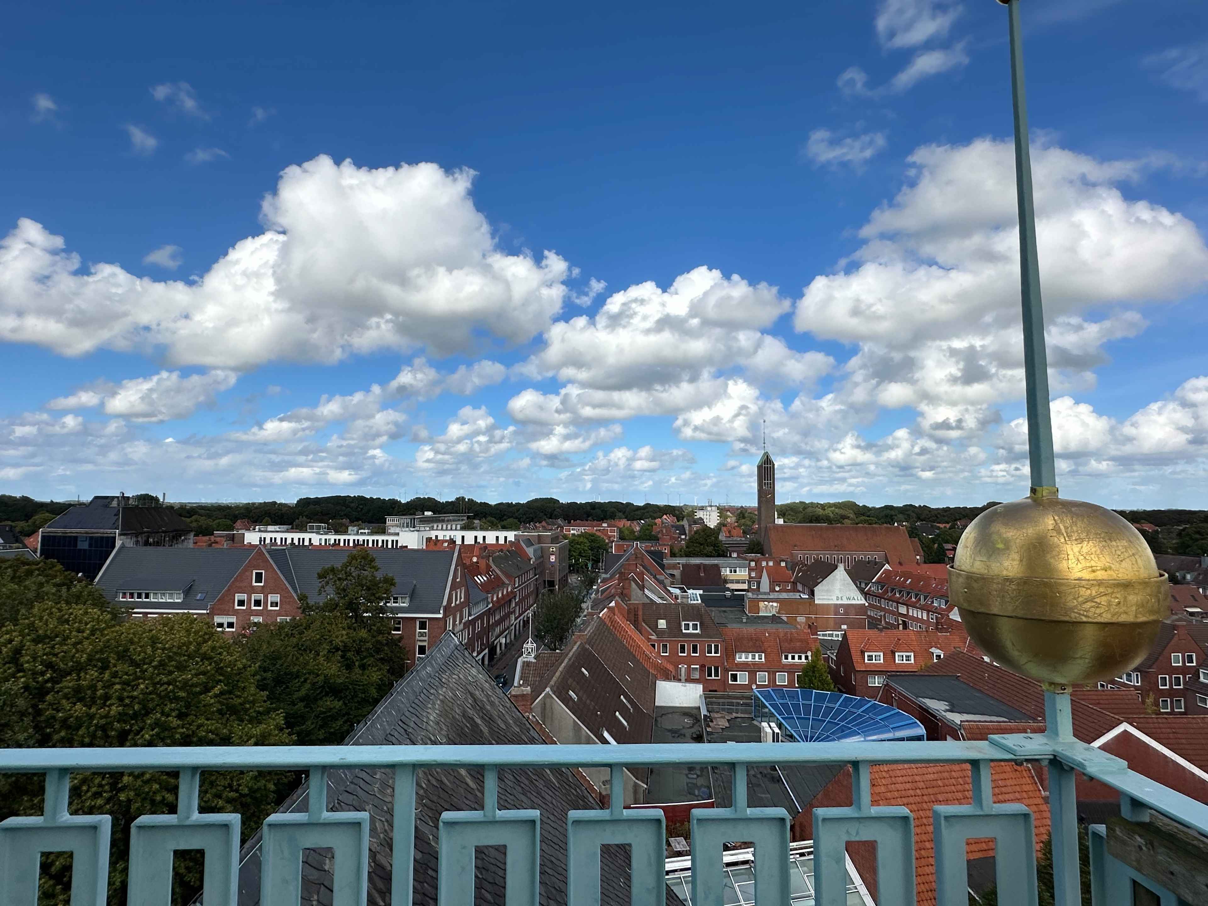 Brezel Bild