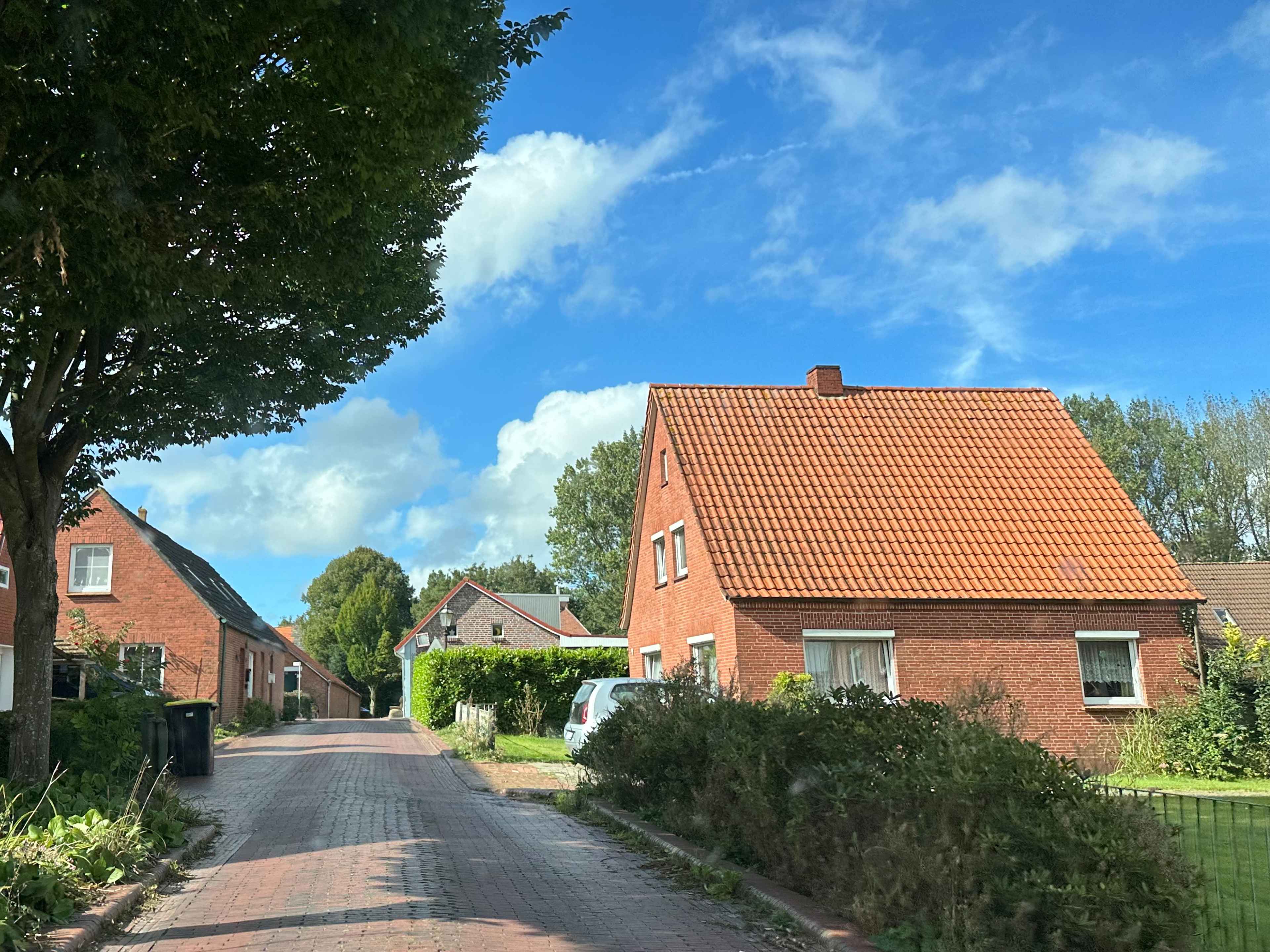 Brezel Bild