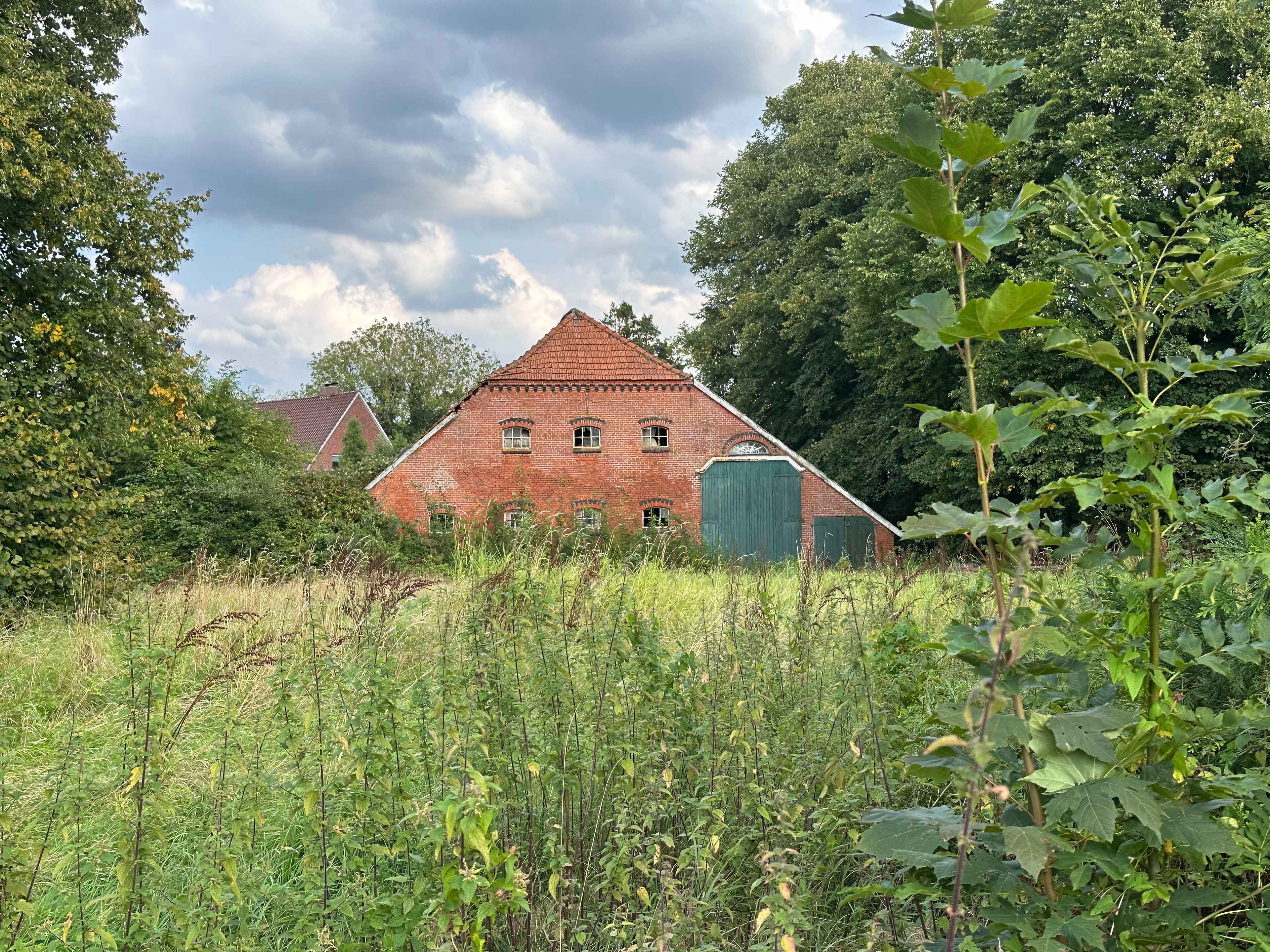 Brezel Bild